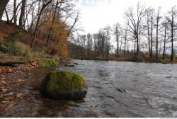 Background Forests